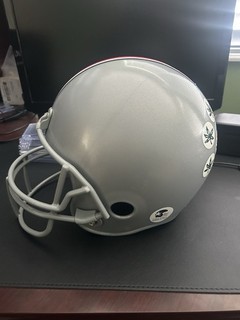 Ohio State Full Sized Costume Helmet