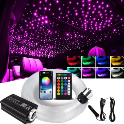 #ad 1000PC Car Home Headliner Star Light Kit Roof Twinkle Ceiling Lights Fiber Optic $56.97
