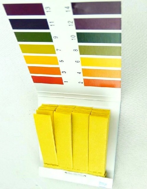 Ph Litmus Test Strips Full Range 1 14 Acid Alkaline Indicator Paper Saliva Urine For Sale Online