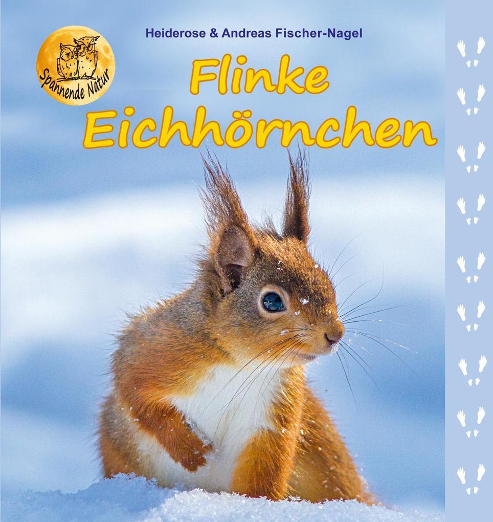 Thumbnail - Flinke Eichhörnchen | Heiderose Fischer-nagel, Andreas Fischer-nagel |