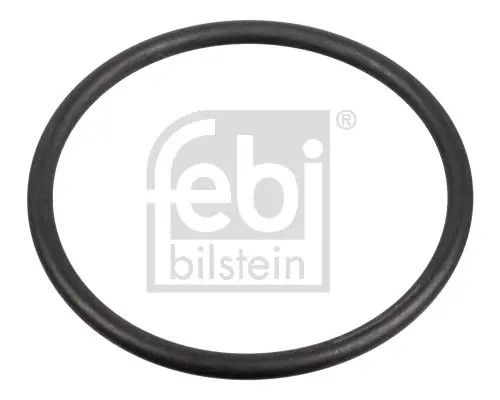 Guarnizione pompa carburante FKM (fluorocarburi-caucciù) 172666 FEBI BILSTEIN