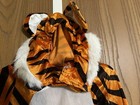 Bild 5 von 10
