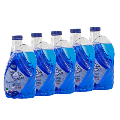 5x 4 Liter ROBBYROB Scheibenreiniger Premium Fertiggemisch -25 °C Cool Mint Duft