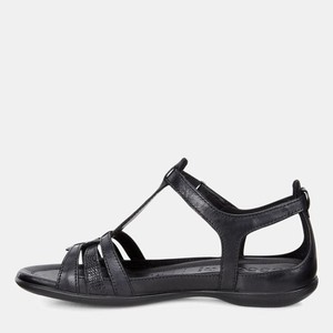 ecco flash black