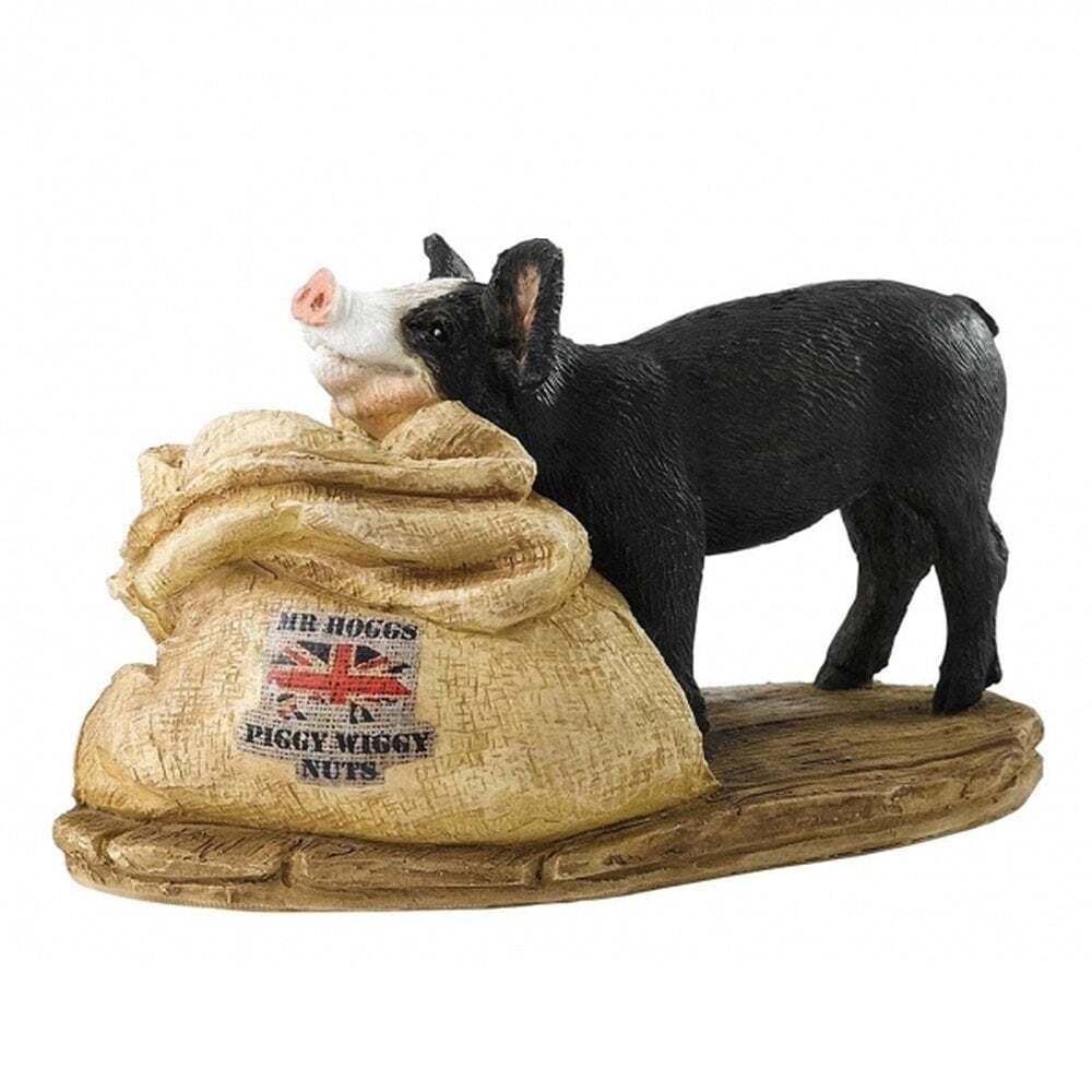 Border Fine Arts Mr Hoggs Piggy Wiggy Nuts - Pig Figurine