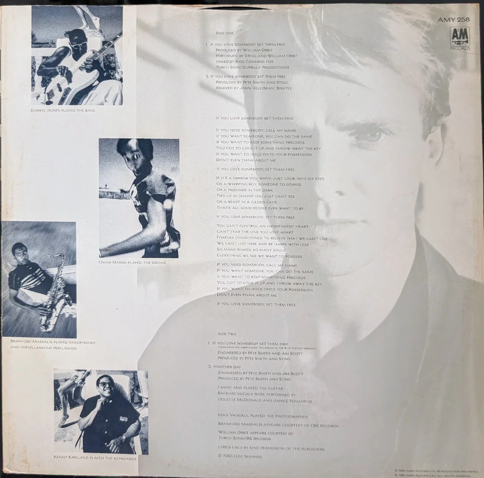 Sting If You Love Somebody Set Them Free Vinyl Record VG+/VG AMY258 1985 Foto 2 de 2