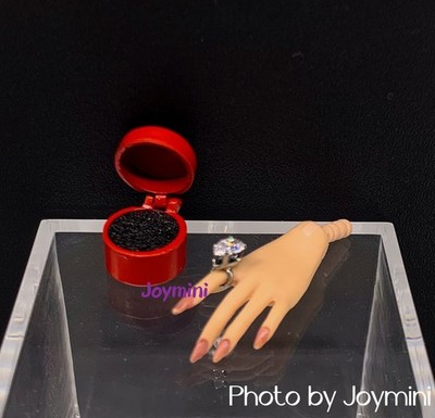Doll Ring Box For Fashion Royalty Integrity Poppy Parker NuFace Doll Jewelry Box