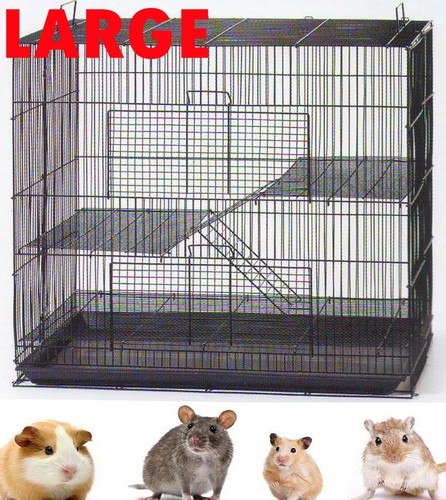degu minimum cage size