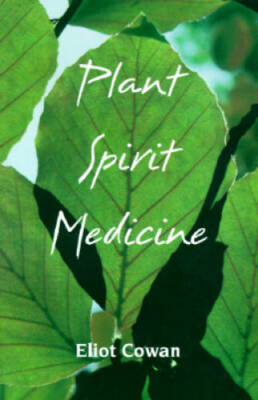 Plant Spirit Medicine: The Healing Power of Plants - Paperback - GOOD