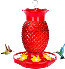 Glass Hummingbird Feeders for Outdoors Hanging Ant and Bee Proof 16OZ 1 Pack Red