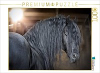 "Calvendo Puzzle An Image From The \"Friesen – Proud Giants\" Calendar | 1000 Piece"