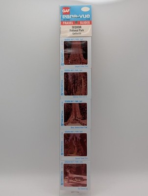 GAF Pana-Vue Set One Travel Slides - Sequoia National Park
