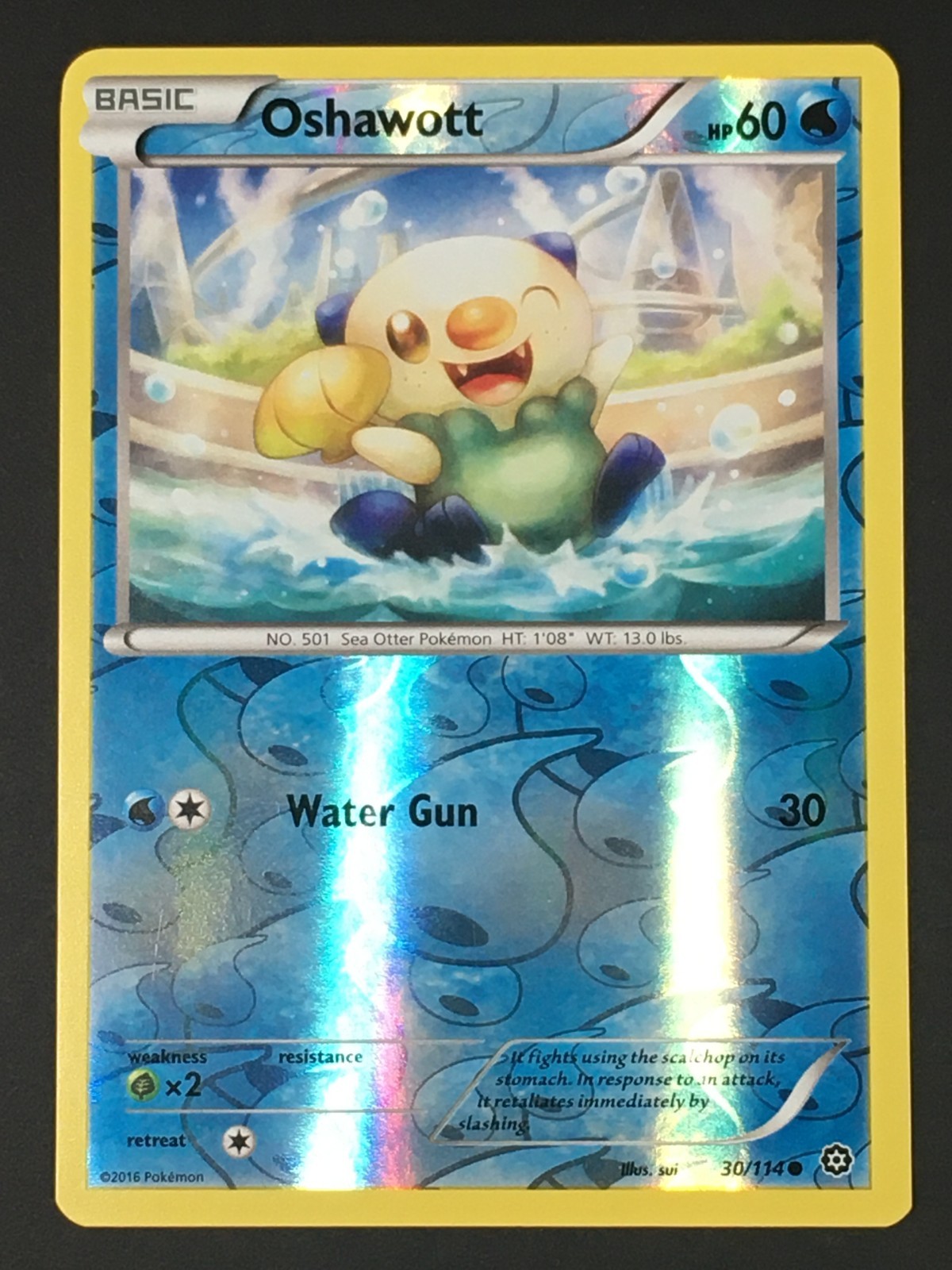 Pokémon TCG Oshawott 30/114 XY Steam Siege Reverse Holo Common LP