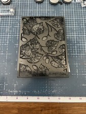 Sizzix Tim Holtz Acorns 3D Embossing Folder