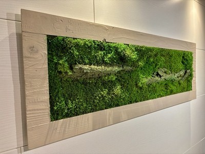 Moosbild 90x32 cm Waldboden Flachmoos Fichte sägerau grau beige Echtholzrahmen