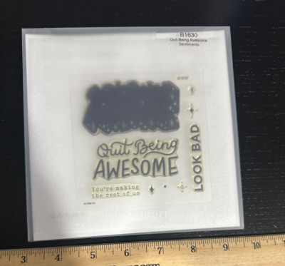 CTMH Stamp Set - Quit Being Awesome - B1630 *New* Close To My Heart