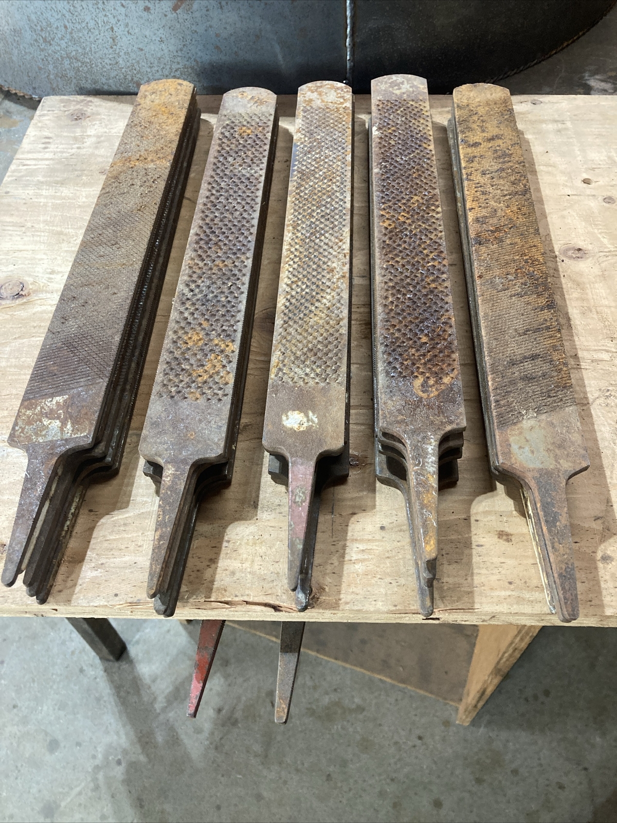 USED FARRIER RASP(S) eBay