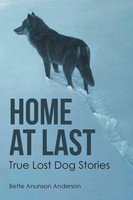 Bette Anunson Anderson | Home At Last | Taschenbuch | Englisch (2019)