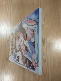 Mysterious World EL-HAZARD Official Guidebook for SEGA Saturn Free Shipping