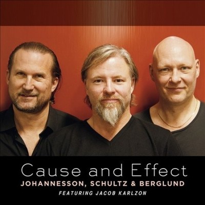 Ursache & Wirkung von JOHANNESSON,SCHULTZ BERGLUND [Audio CD]