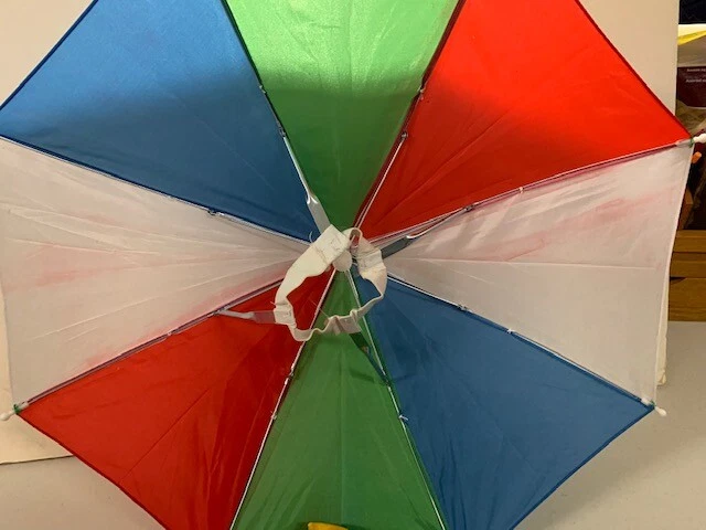 ebay umbrella hat