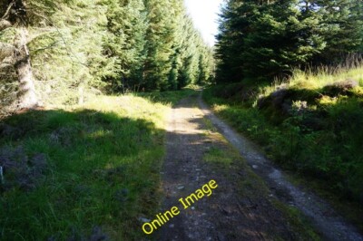 Foto 6x4 Forstbahn, Glen Banvie Wood Bruar c2014