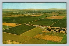 Aerial View, Hop Ranch, Yakima River Valley, Washington Vintage Postcard