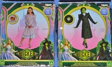 NEW-Wicked-Glinda/Elphaba Witch Costumes-girl 4-6X-Shiz University Dress  Up LOT
