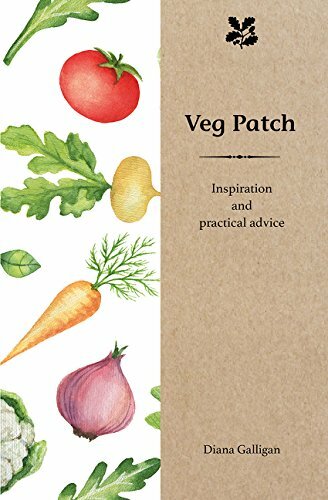 Veg Patch: Inspiration and Practical Advice for Beginners (Inspiration & Practi