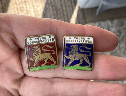 vintage Enamel Pin Badges X2 Young Conservative Political Party United Kingdom - Picture 4 of 4