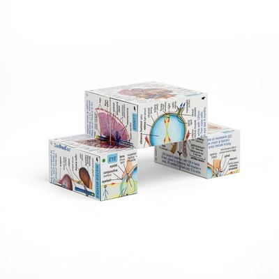 ZooBooKoo Scientific Cubebook - In English French German Italian Polish Spanish