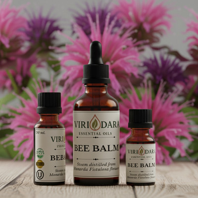 Organic Bee Balm Essential Oil   100% Pure & Natural   Free Shipping
