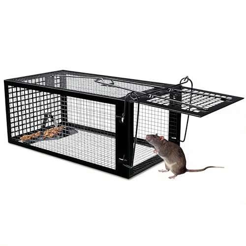 SARSTRY Humane Rat Trap, Live Mouse Trap for Indoor &  Assorted sizes
