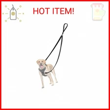 PetBonus Two Point Control Dog Leash, Works with No Pull Harnesses, No Tangle Tr