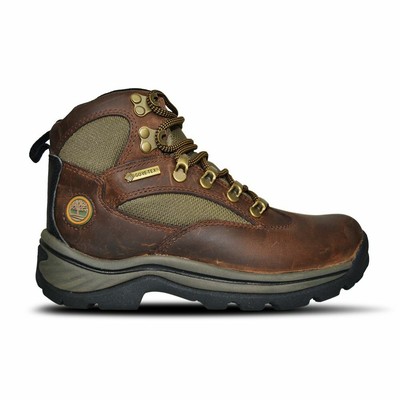 chocorua trail mid gtx