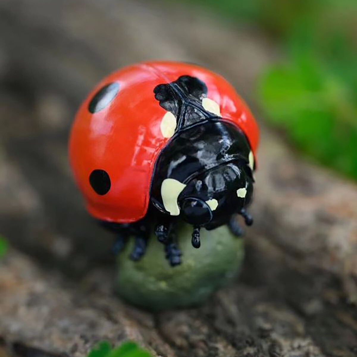 Animal Heavenly Body Seven-Spot Ladybug Coccinella septempuncta