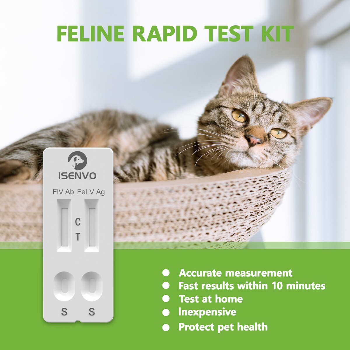 Image showcasing Feline Dna Feline Immunodeficiency Virus (FIV) Infection In Domestic ...