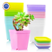 Pots Flower Square Plastic Plant Succulent Planter 24 Pack Colorful Haawooky