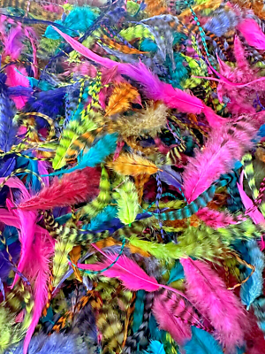 #ad 1000pc Rainbow 3 6quot; Loose Fluffy Crafting Feathers Whiting Farms $22.99
