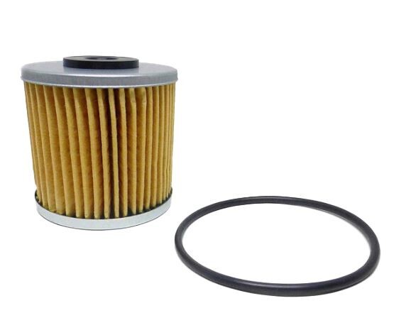 Hydro-Gear Genuine OEM Transmission Filter Kit with O Ring 72537