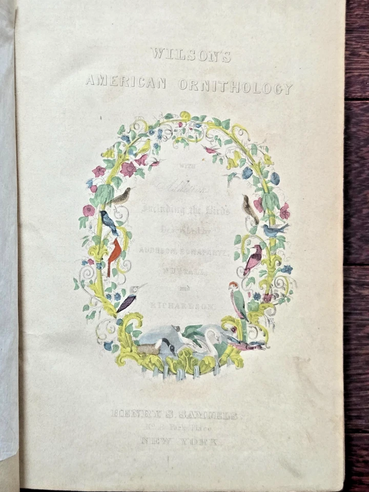 1853 Wilson’s American Ornithology Brewer Audubon Bonaparte Illustrated Birds Bo - Image 3 of 4