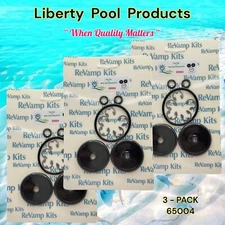 Slide Valve Rebuild O-Ring Kit - 65004 Replacement For Pac-Fab 2"  GO-KIT4 3-PK