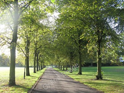 Photo 12x8 Tree lined walk Hillsborough/SK3290 Hillsborough Park, early o c2011