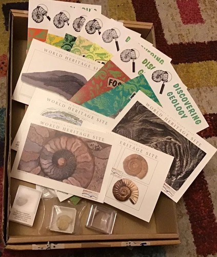 Dinosaur Fossil Pack 3 Fossils, 5 