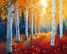 Aspen with colorful aspens oil painting 8x10 Print