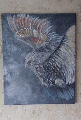 Acrylic Paintings On Canvas hand painted EAGLE 50x40cm