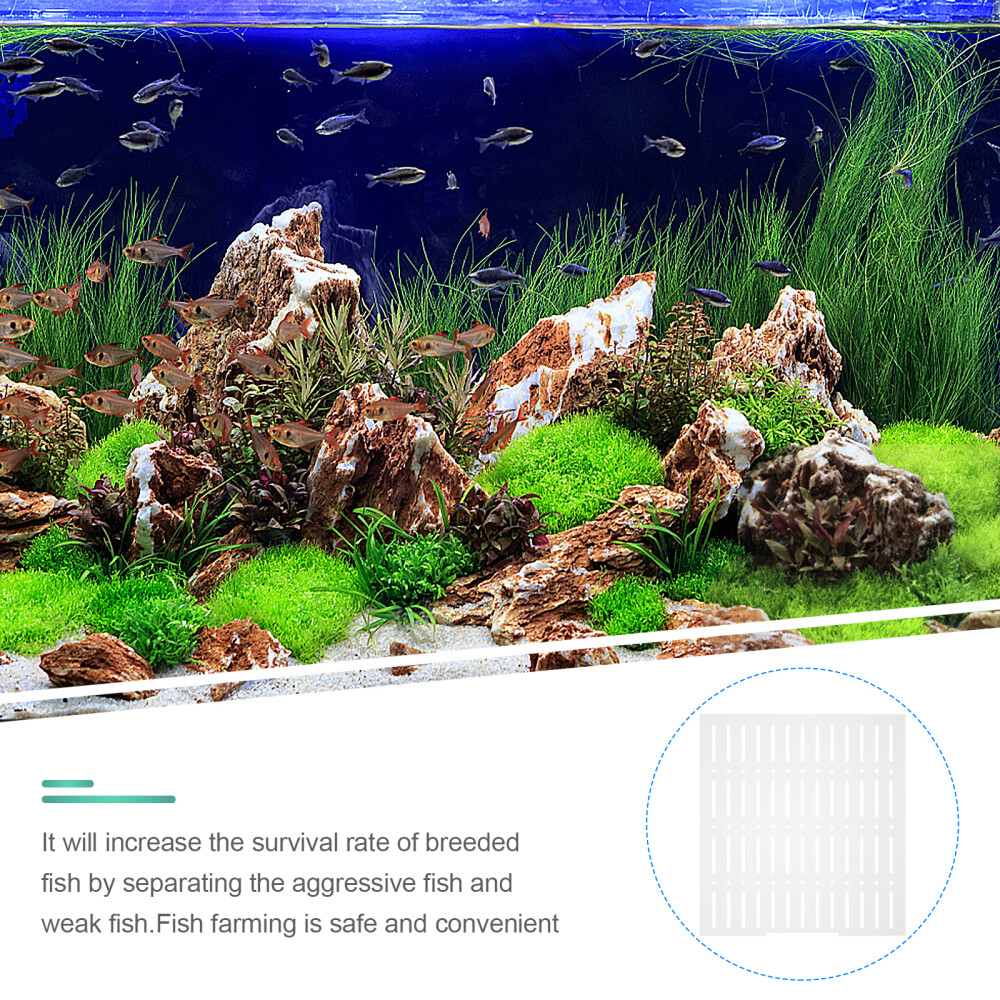 2 Sets Fish Tank Isolation Board Acrylic Aquarium Divider 55 Gallon eBay