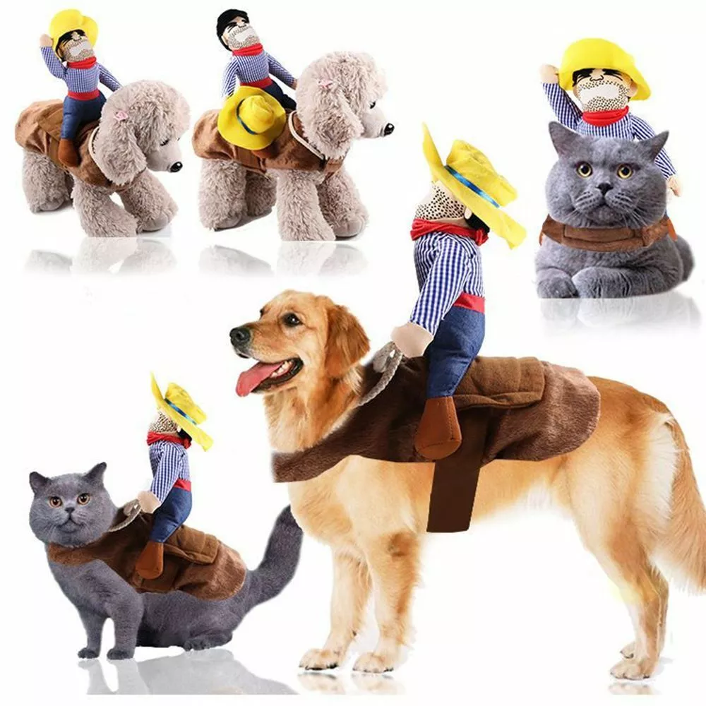 Dog top rider costume