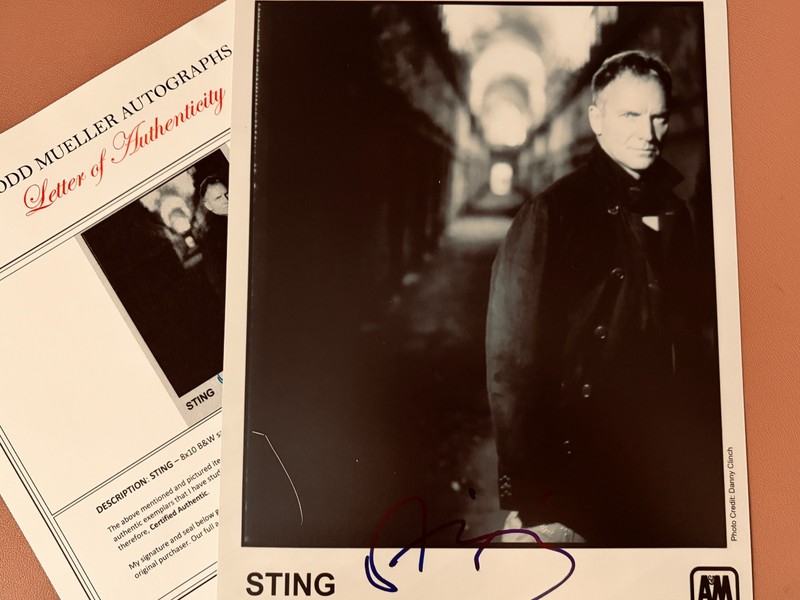 Sting Signed•8x10 BW Vintage Photo•THE POLICE•  TODD MUELLER AUTOGRAPHS COA