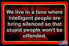 POLITICALLY INCORRECT! MADE IN USA METAL SIGN 8X12 MAN CAVE FUNNY BAR DECOR